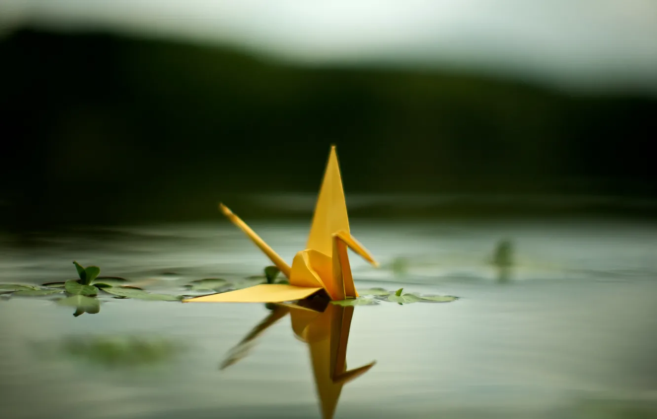 Фото обои пруд, журавлик, оригами