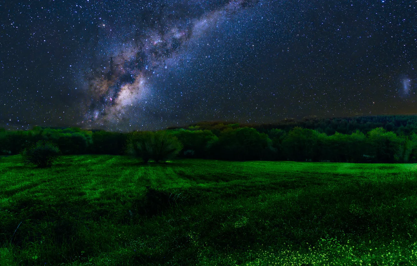 Фото обои поле, лес, звезды, деревья, ночь, млечный путь