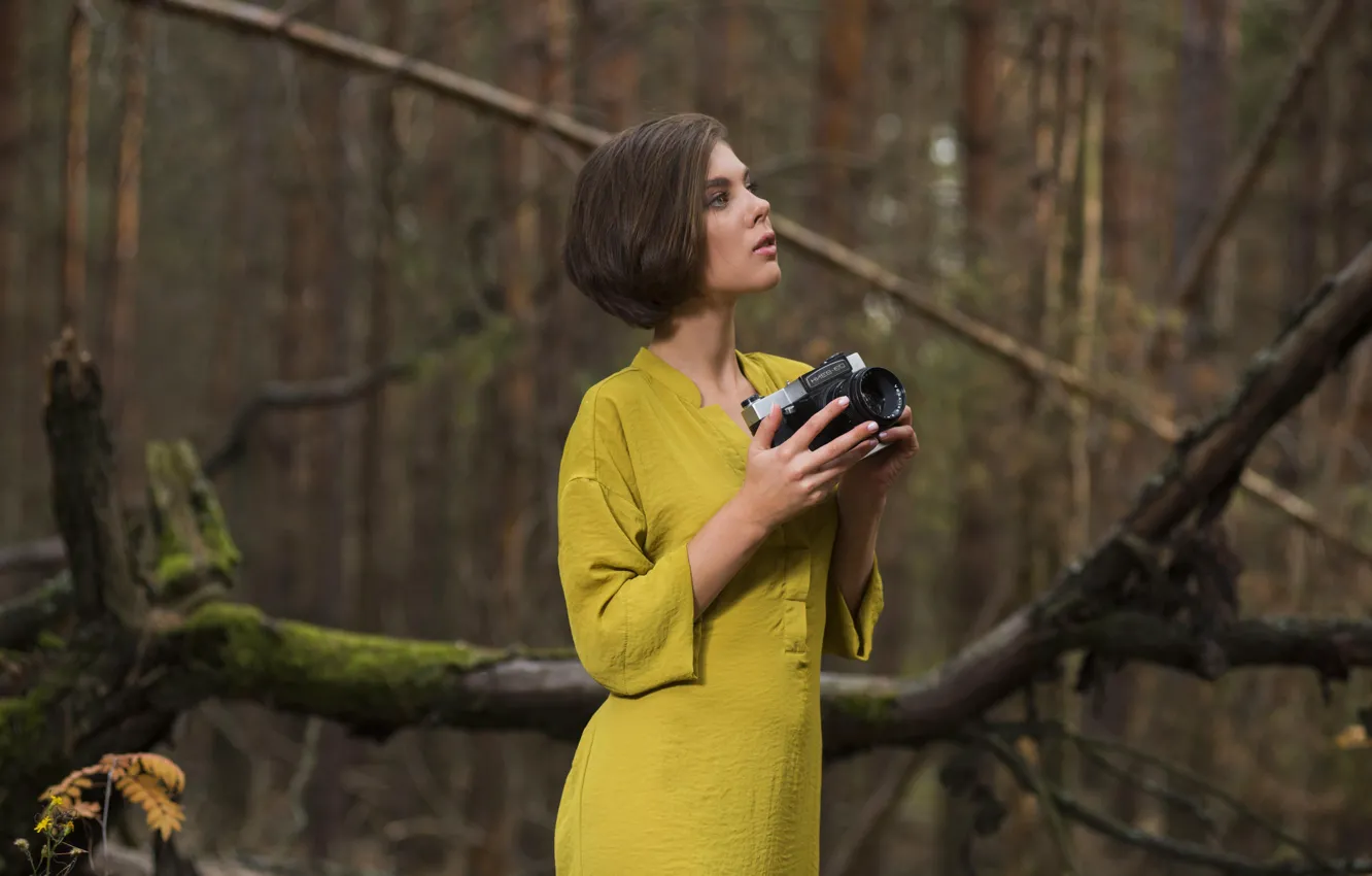 Фото обои dress, brunette, Dakota A, wearing, from-Met-Art, In Forest