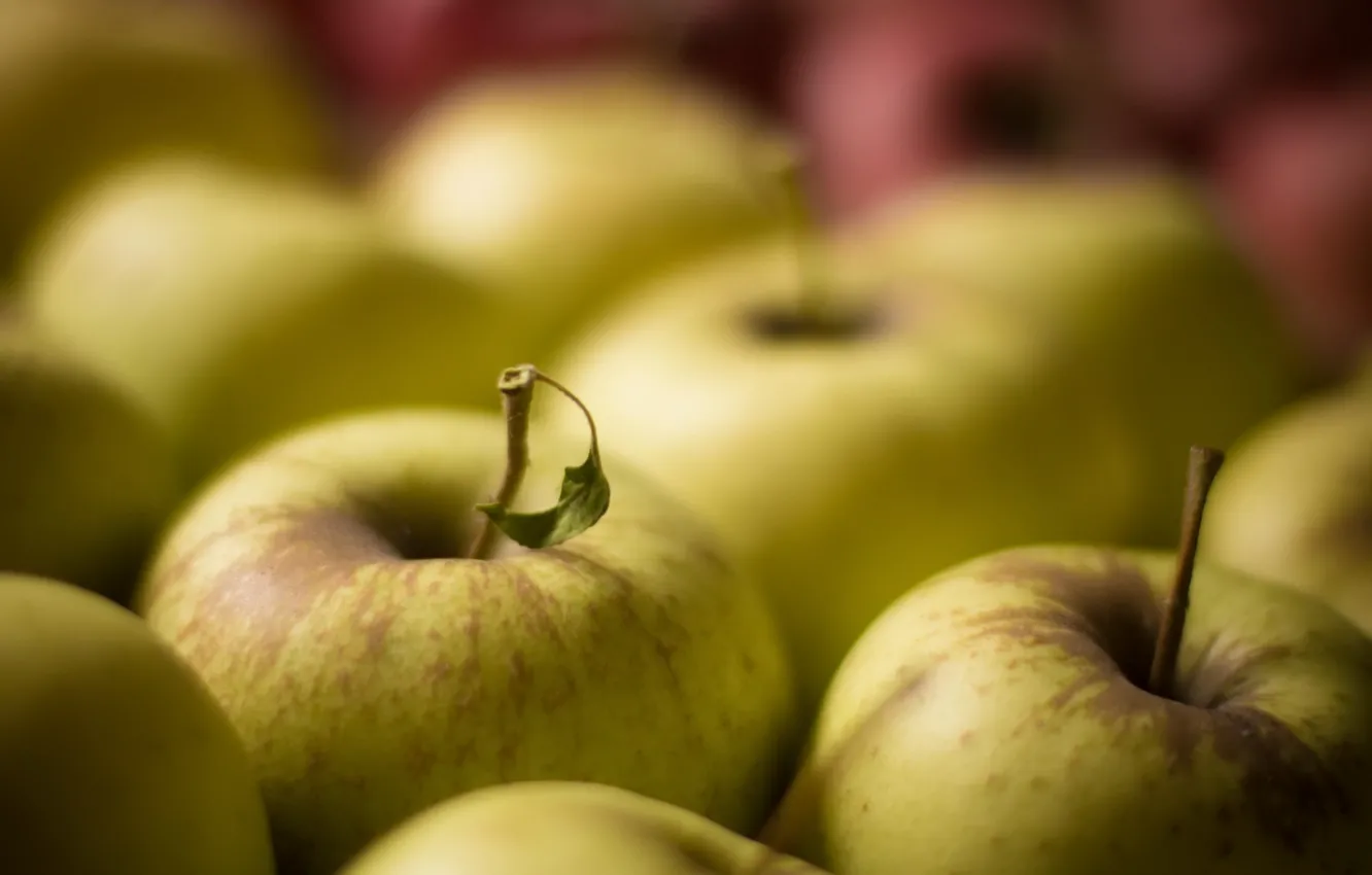 Фото обои макро, яблоки, фрукты