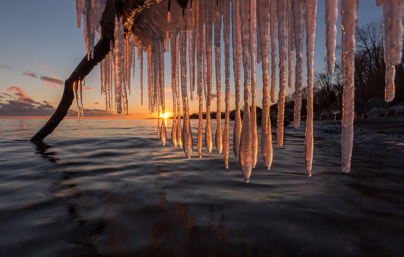 Фото обои зима, закат, озеро, сосульки, Канада, коряга, Canada, Lake Ontario
