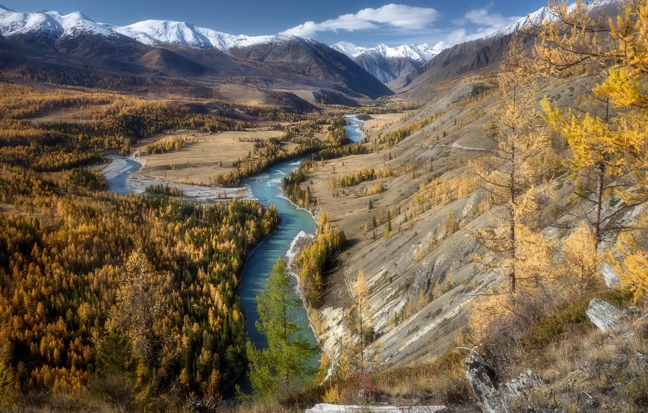 Фото обои пейзаж, горы, природа, река, холмы, леса, Алтай, Павел Силиненко