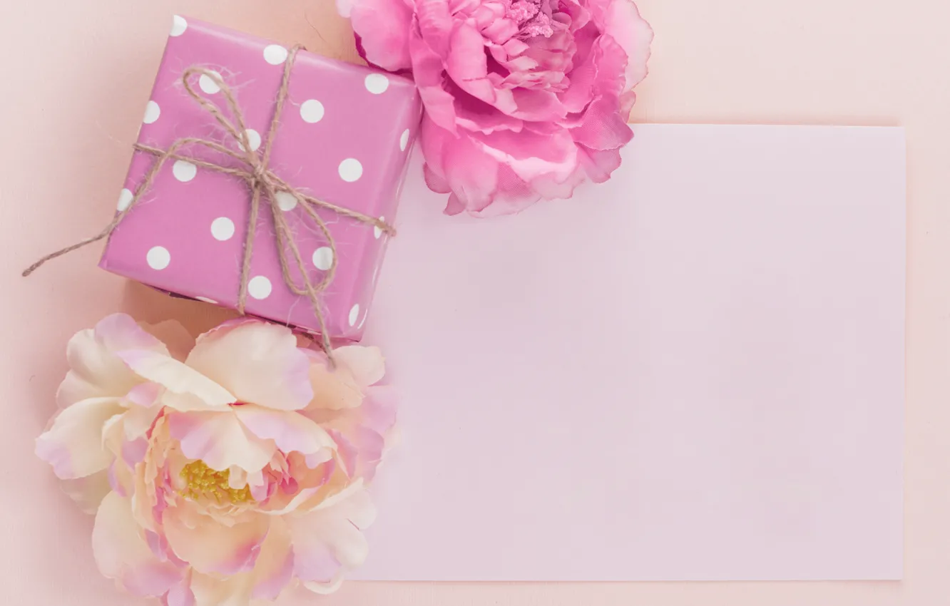 Фото обои цветы, подарок, бутоны, box, flower, pink, git