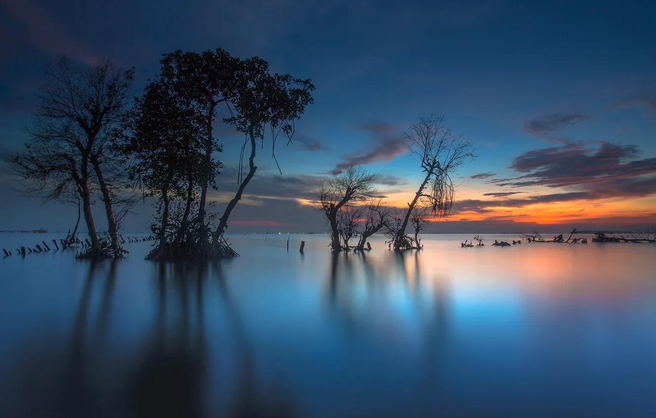 Фото обои деревья, Индонезия, залив, зарево