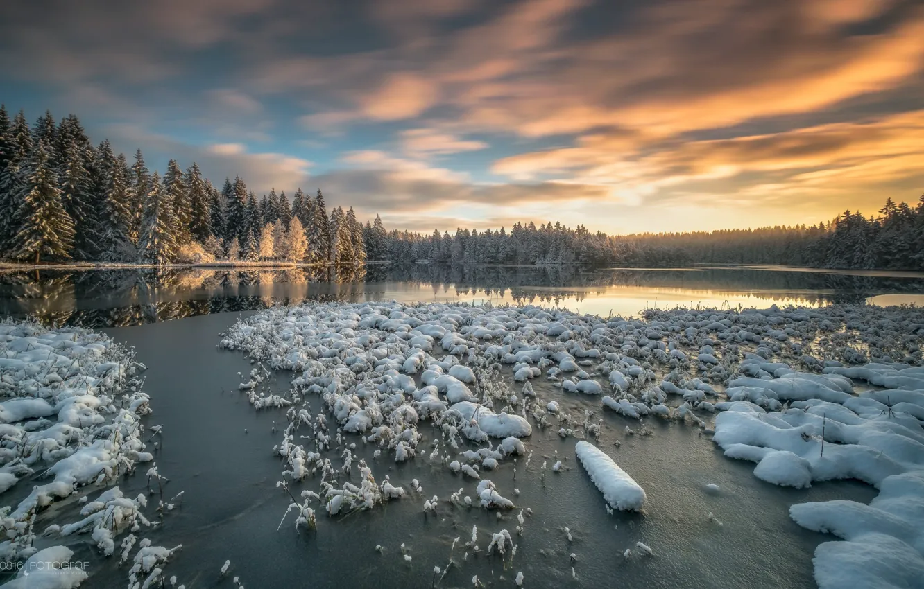 Фото обои зима, лес, снег, озеро, Швейцария, Switzerland, Canton of Jura, кантон Юра