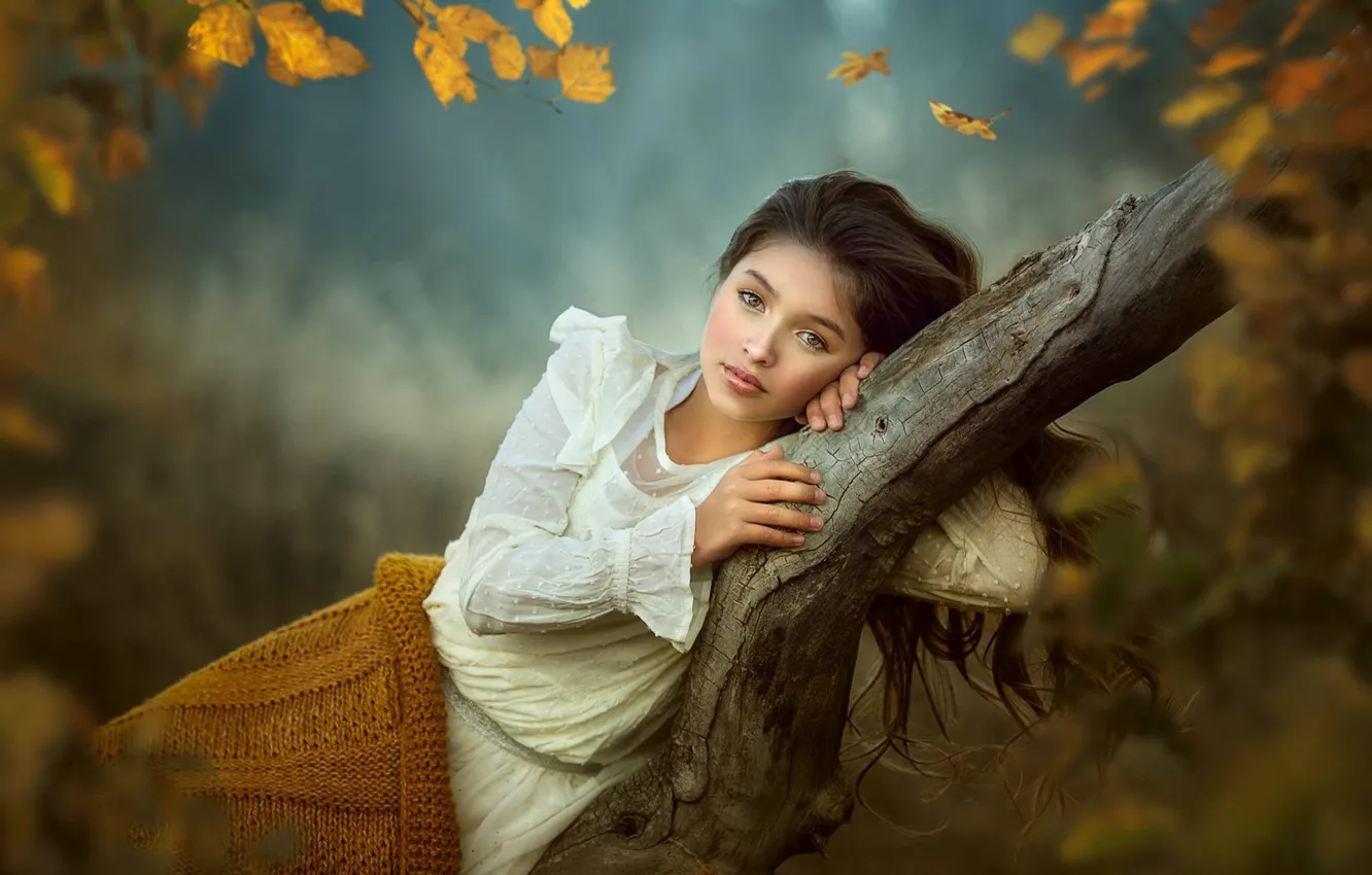 Фото обои осень, взгляд, ветки, поза, дерево, настроение, девочка