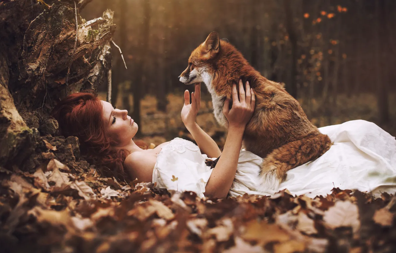 Фото обои осень, лес, девушка, лиса, лежит, рыжая