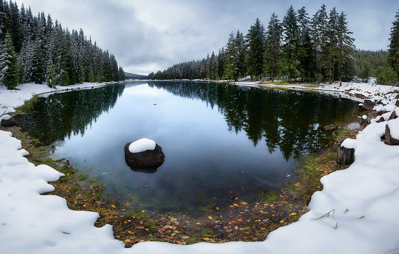 Фото обои зима, лес, снег, озеро, спокойствие, ели