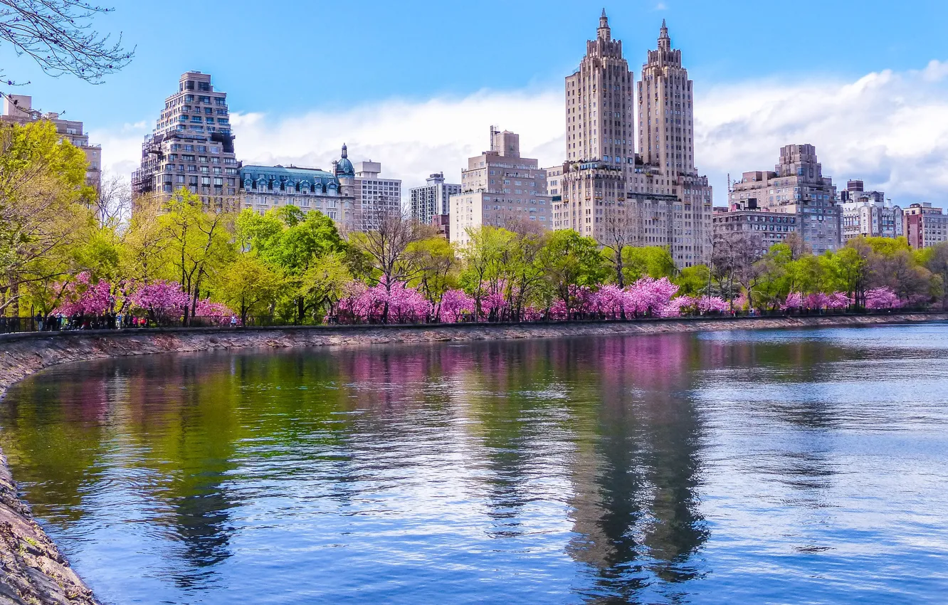 Фото обои вода, парк, небоскреб, весна, Нью-Йорк