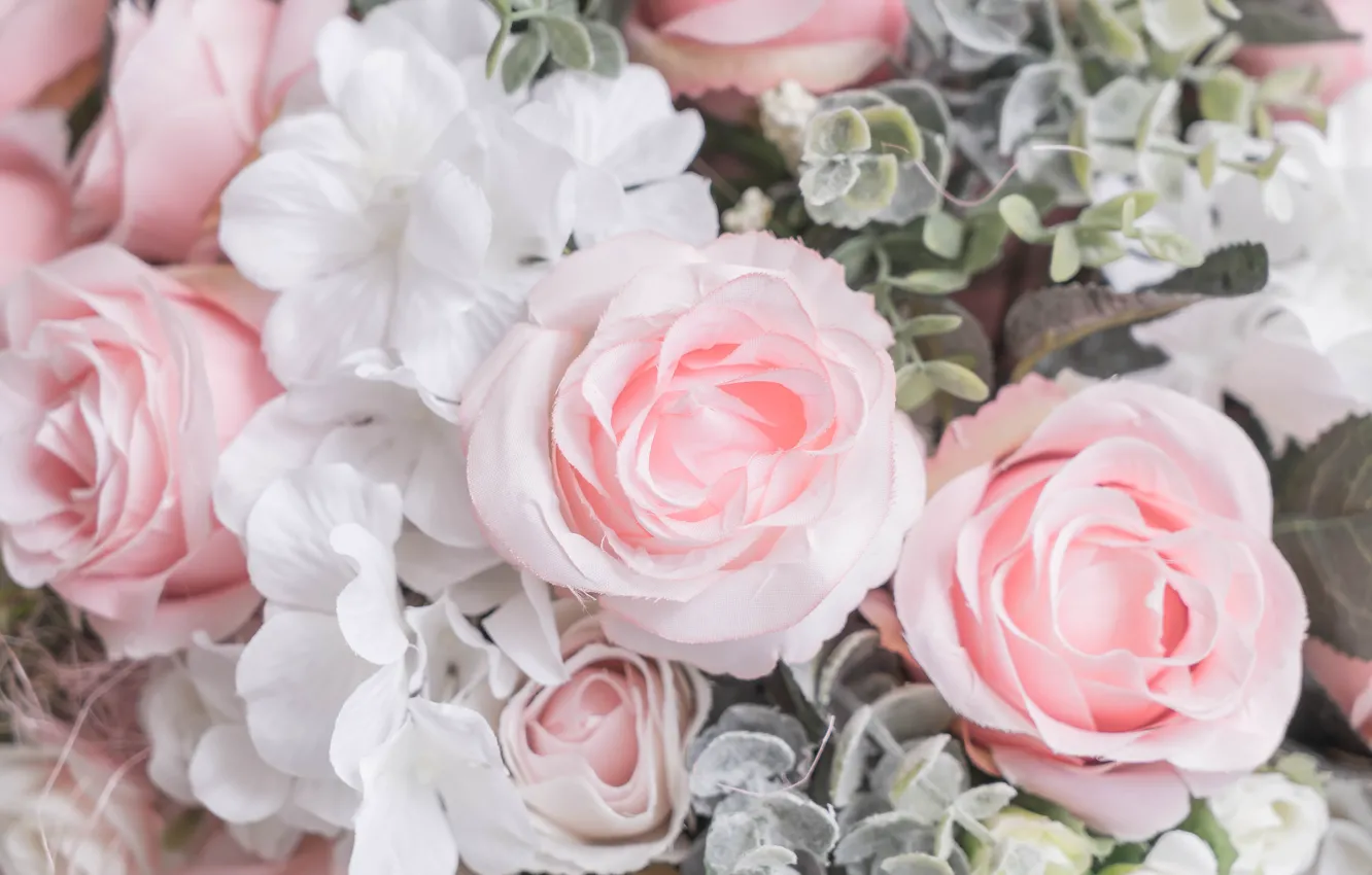 Фото обои цветы, розы, лепестки, розовые, белые, бутоны