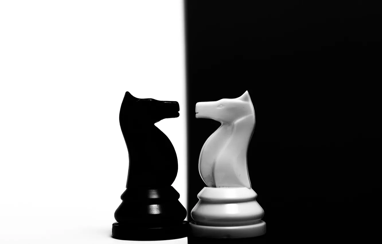 Фото обои конь, шахматы, фигура, контраст