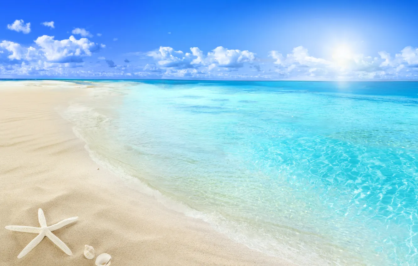 Фото обои beach, sea, sun, sand, seashell, starfish
