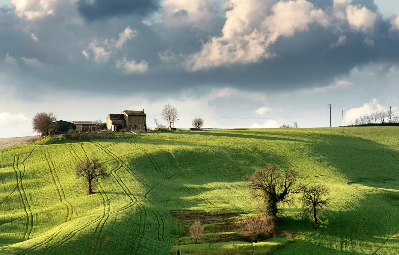 Фото обои поле, небо, трава, холмы, дома