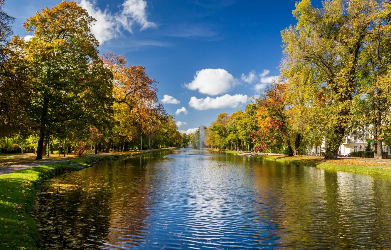 Фото обои осень, деревья, парк, река, аллея, фонтаны