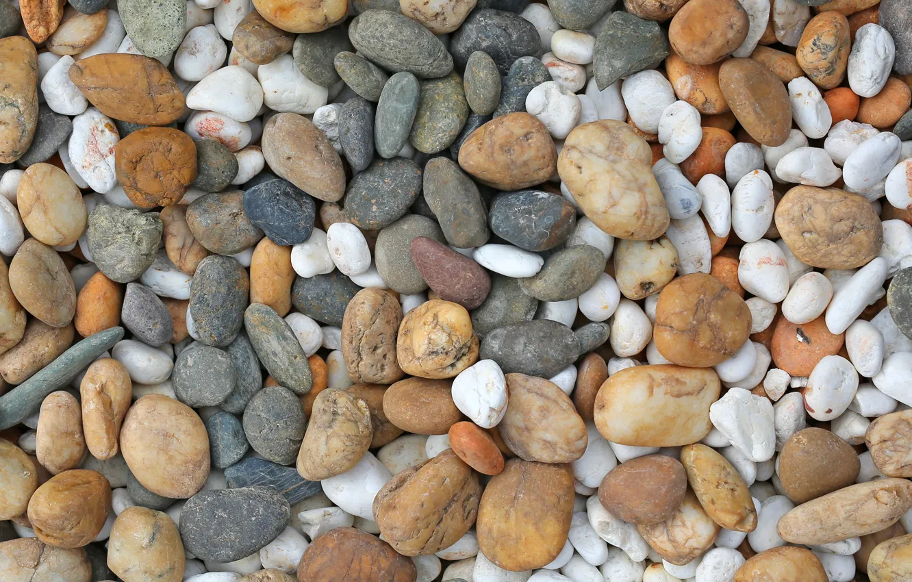 Фото обои пляж, галька, камни, фон, white, белые, beach, texture