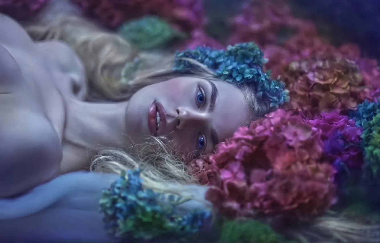 Фото обои девушка, цветы, фантазия, арт, Magda, Agnieszka Lorek