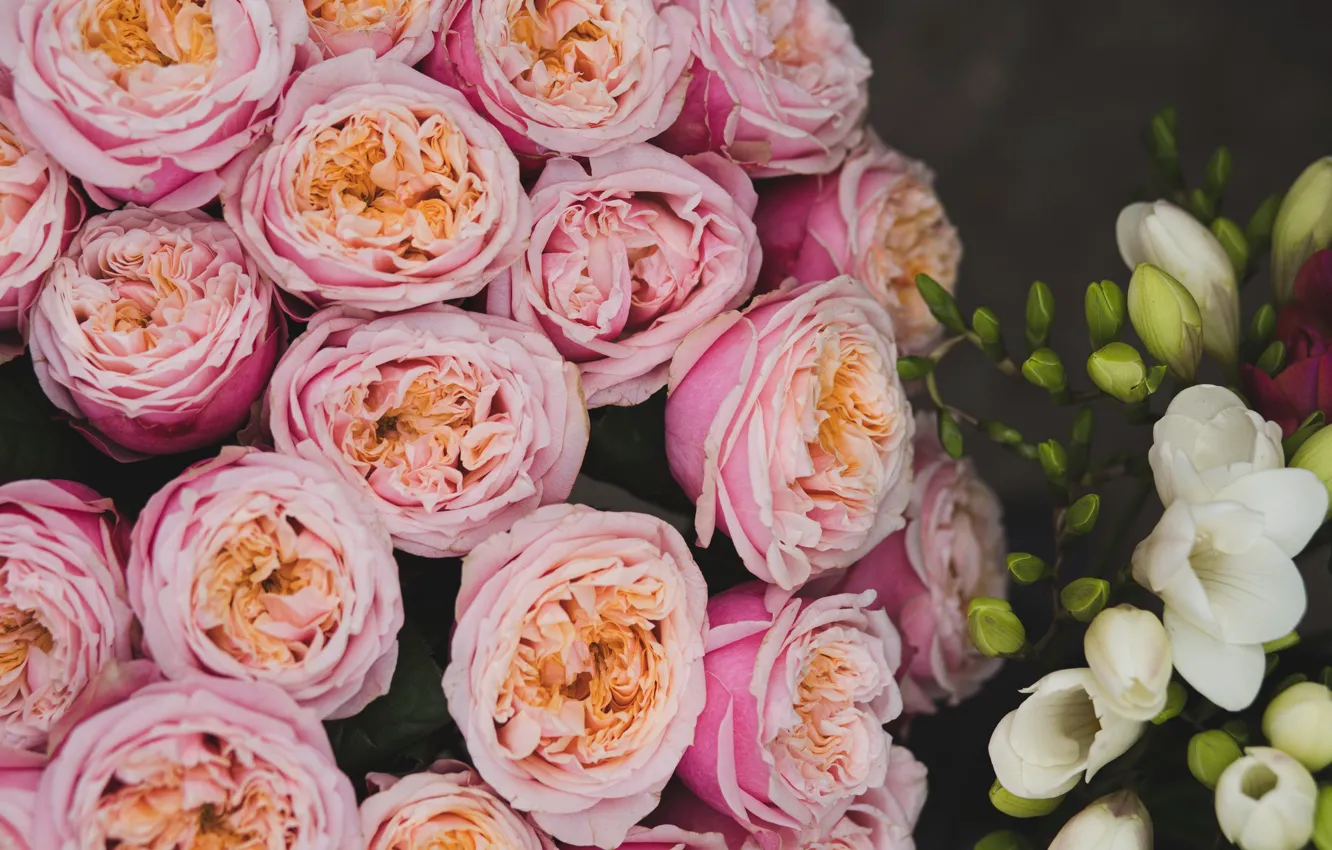 Фото обои цветы, розы, букет, розовые, белые, много, разные