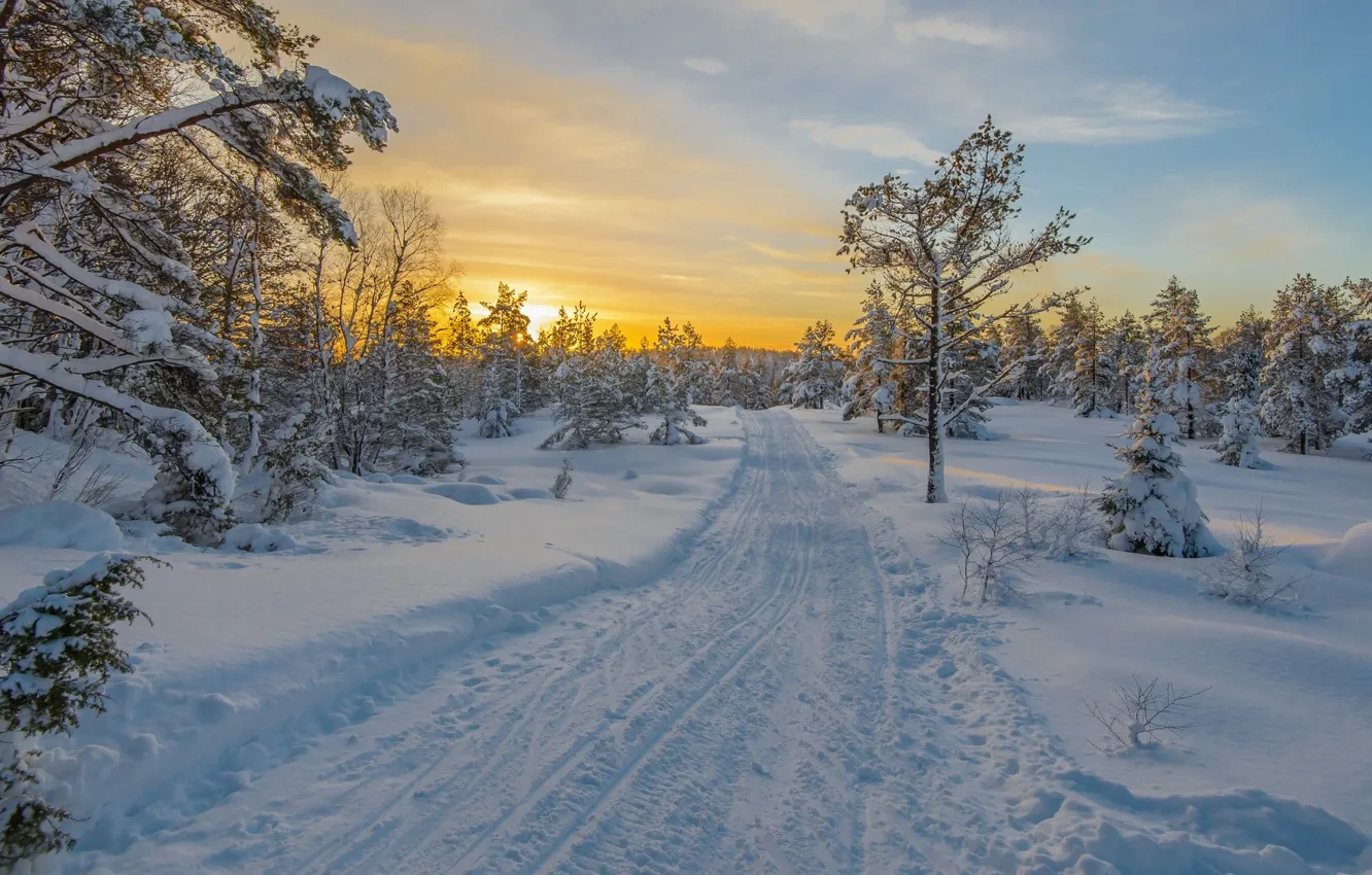 Фото обои зима, дорога, снег, утро