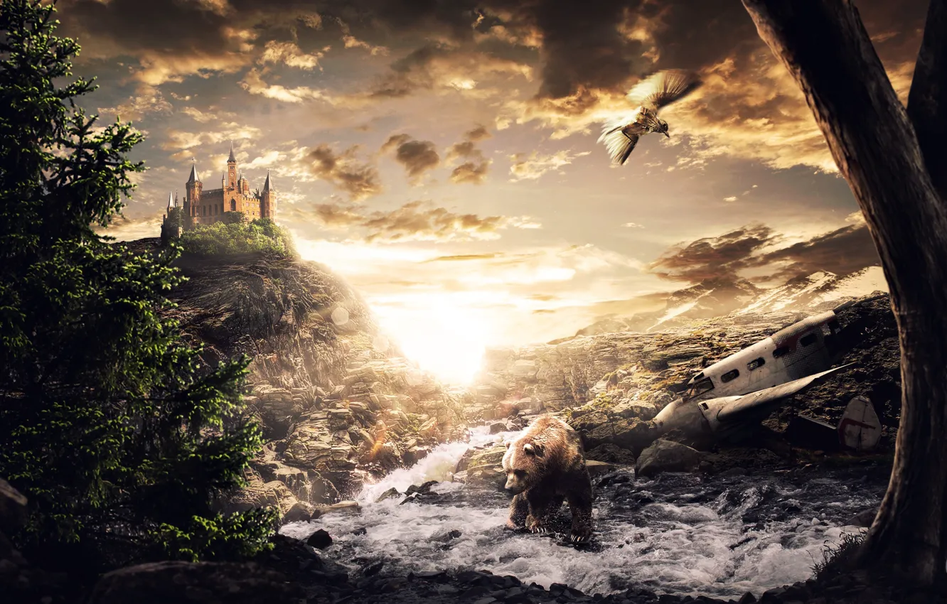 Фото обои закат, природа, замок, коллаж, птица, медведь, арт, desktopography