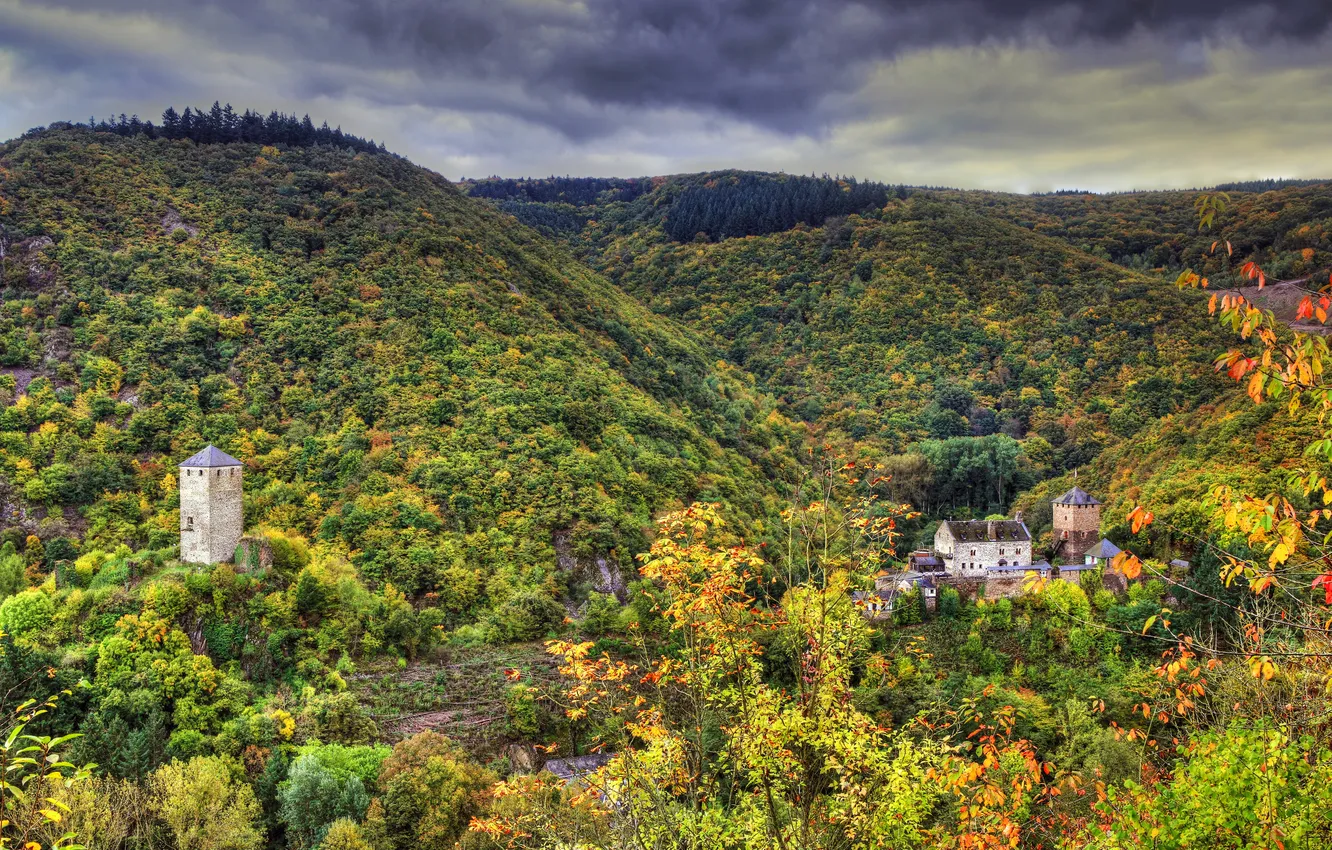 Фото обои осень, лес, горы, замок, Германия, Treis-Karden, Wildburg