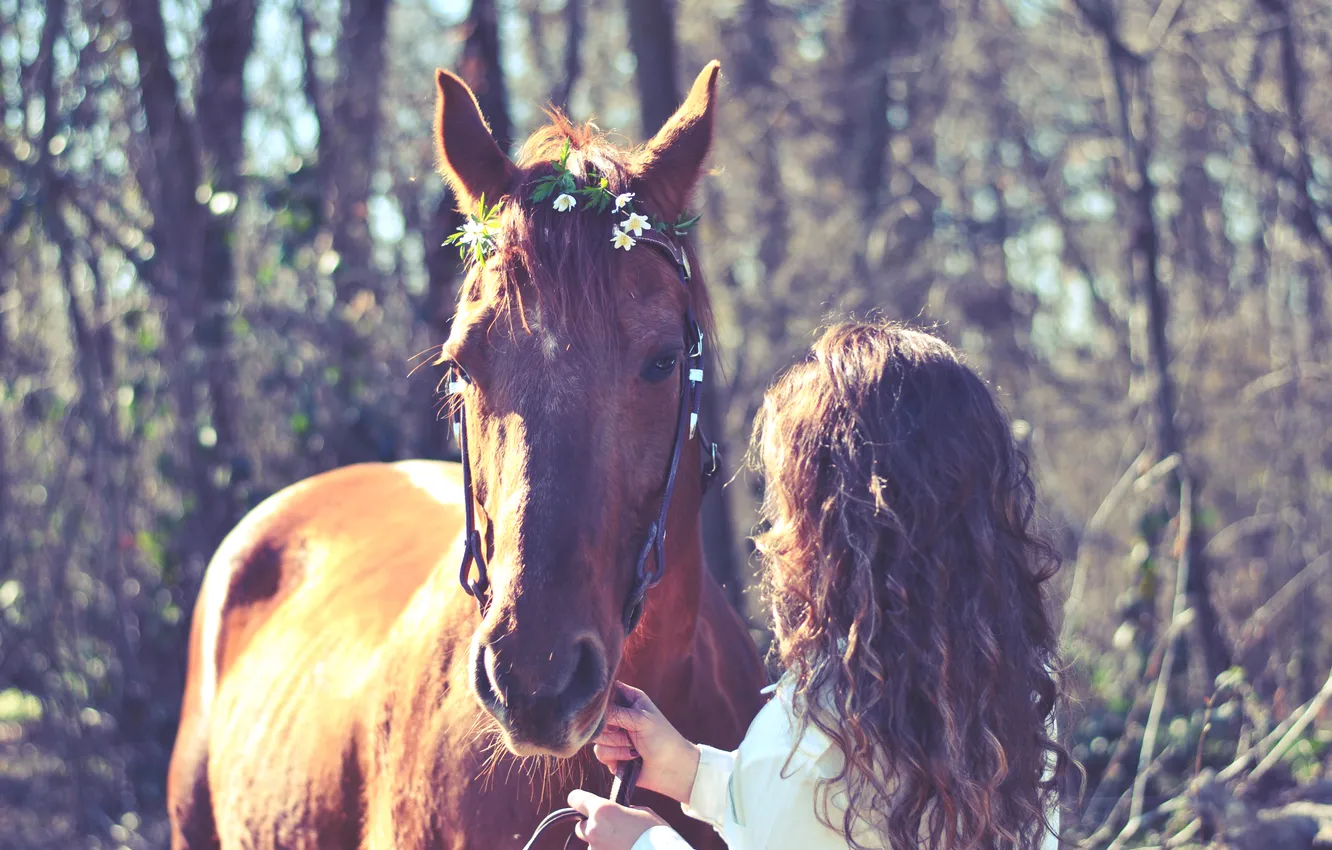 Фото обои девушка, животное, конь, волосы, лошадь