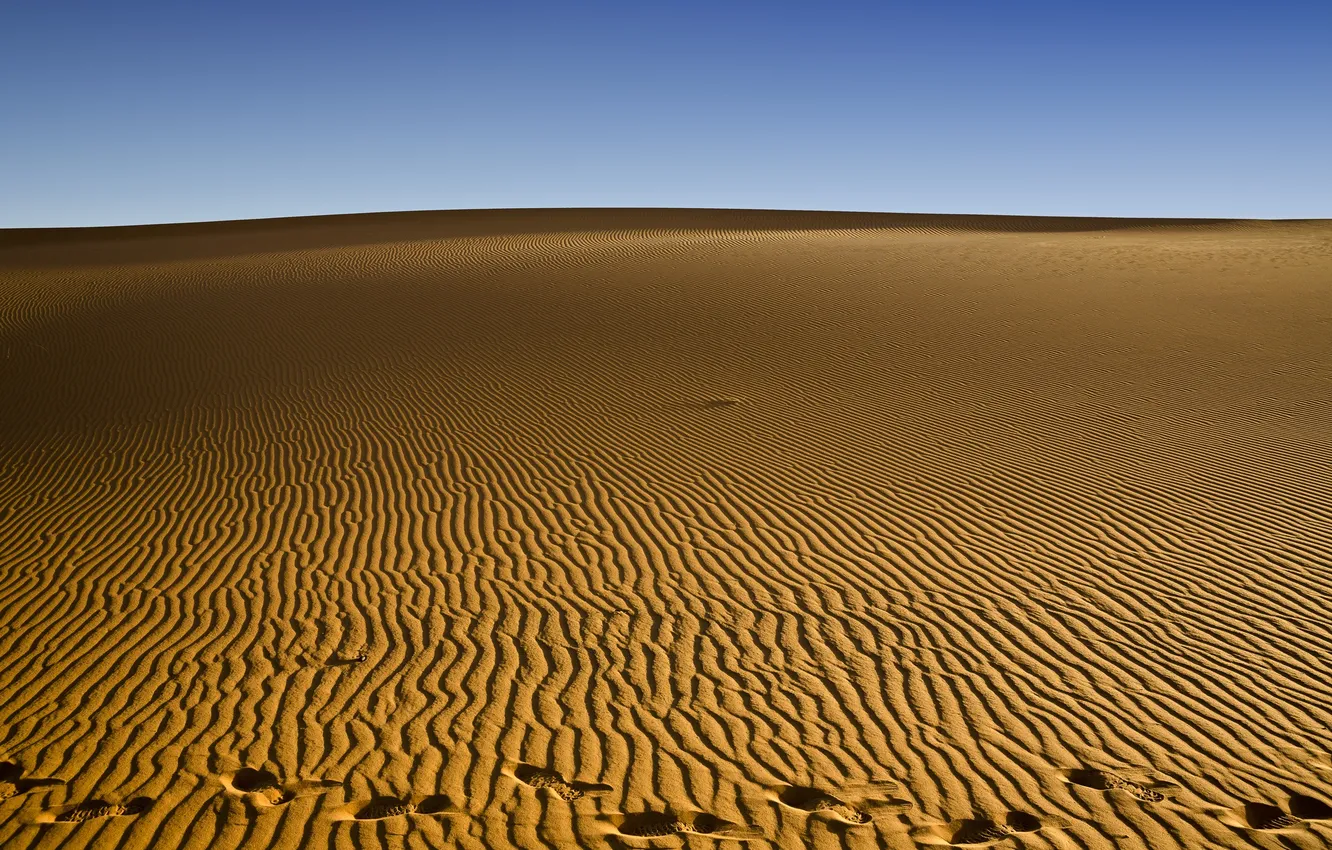 Фото обои песок, пустыня, след