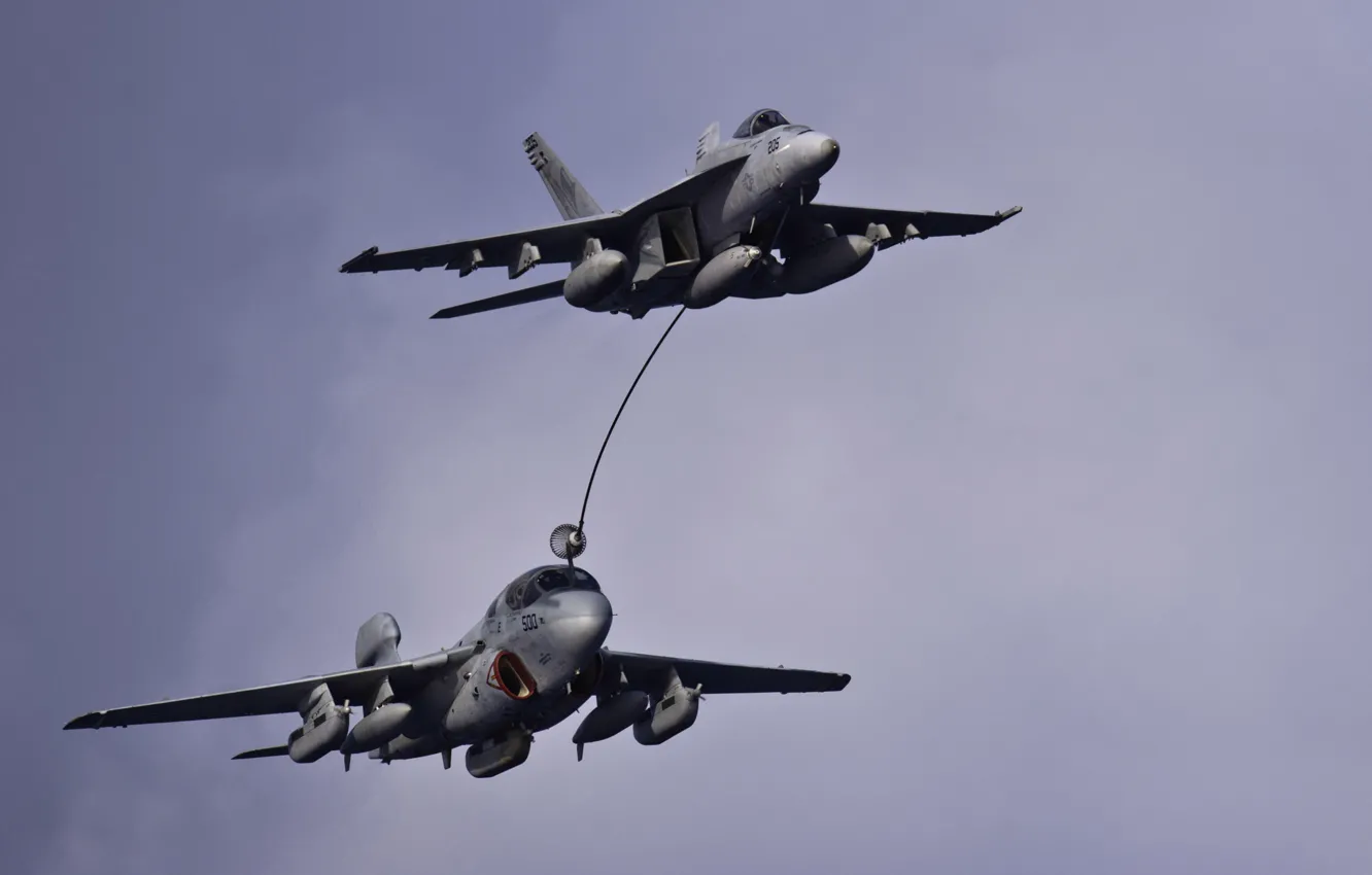 Фото обои полет, самолёты, Grumman, Prowler, Hornet, CF-18, EA-6