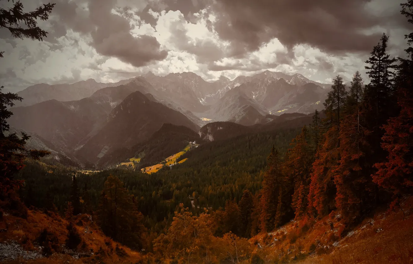 Фото обои осень, лес, небо, облака, деревья, горы, холмы, вершины