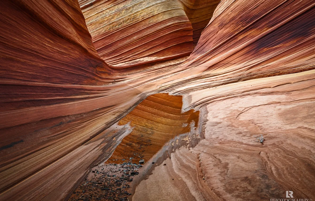 Фото обои природа, скалы, лужа, каньон