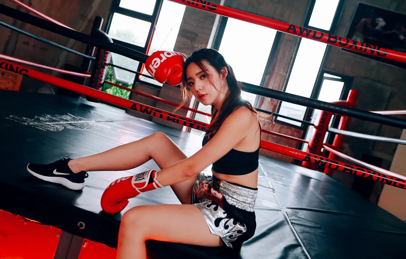 Фото обои девушка, лицо, поза, спорт, бокс, ринг