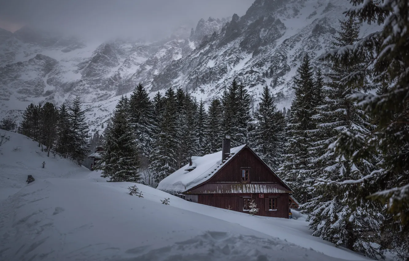 Фото обои зима, лес, снег, горы, туман, дом, холмы, склоны