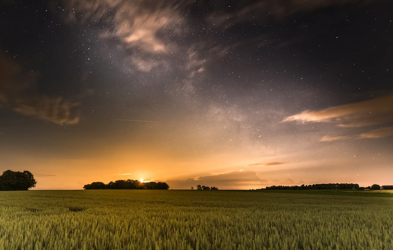 Фото обои поле, небо, звезды, вечер