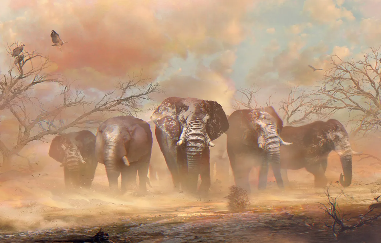 Фото обои песок, деревья, пустыня, слон, стервятник, африка