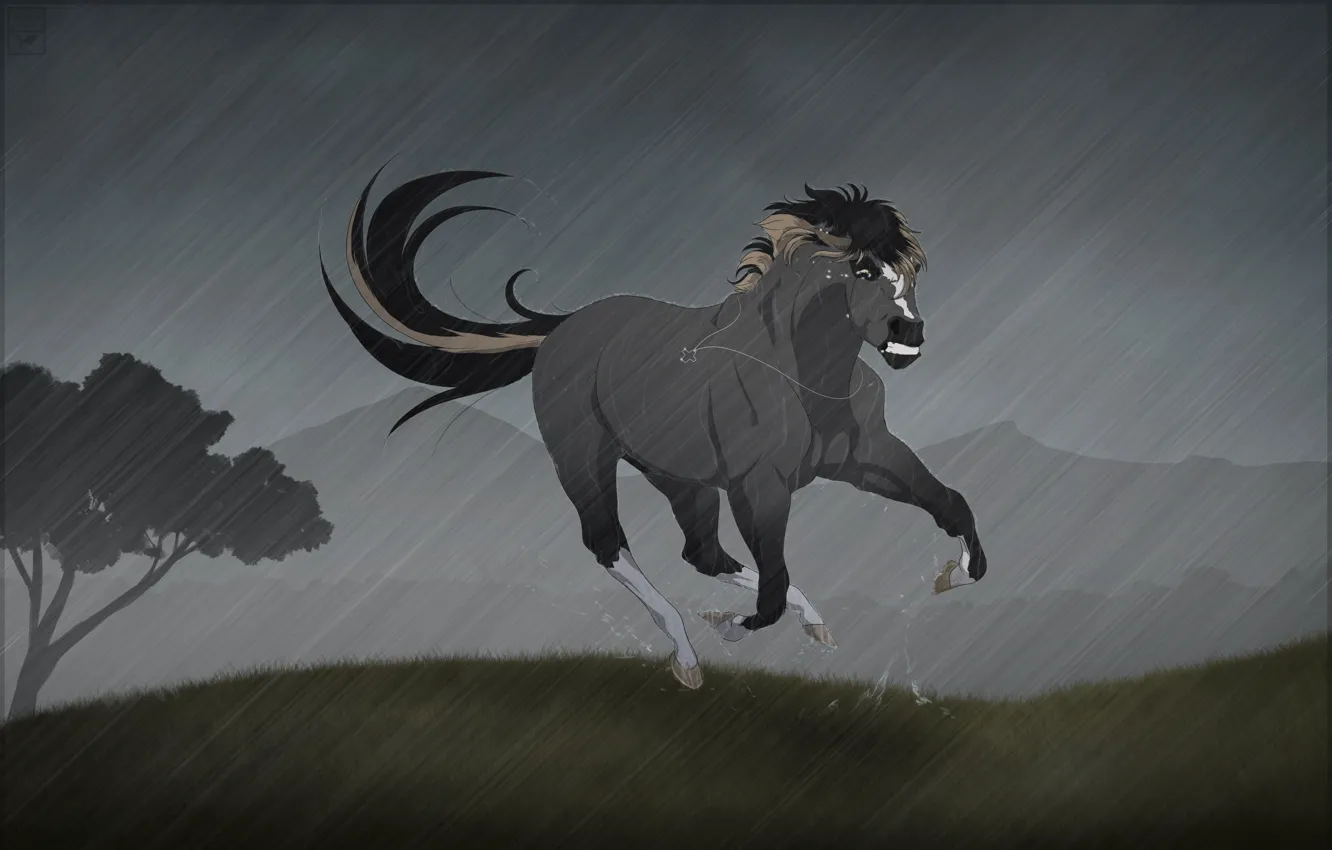 Фото обои дождь, конь, лошадь, слёзы, крестик