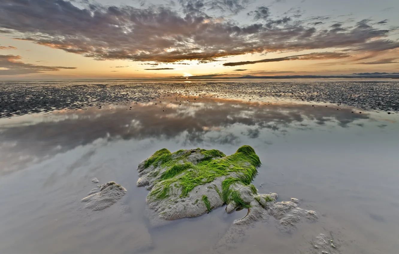 Фото обои море, облака, водоросли, закат, отражение, камень, мель, поросль