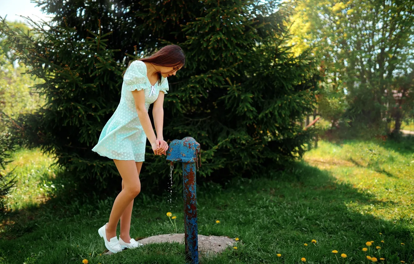 Фото обои grass, dress, nature, water, flowers, model, women, brunette