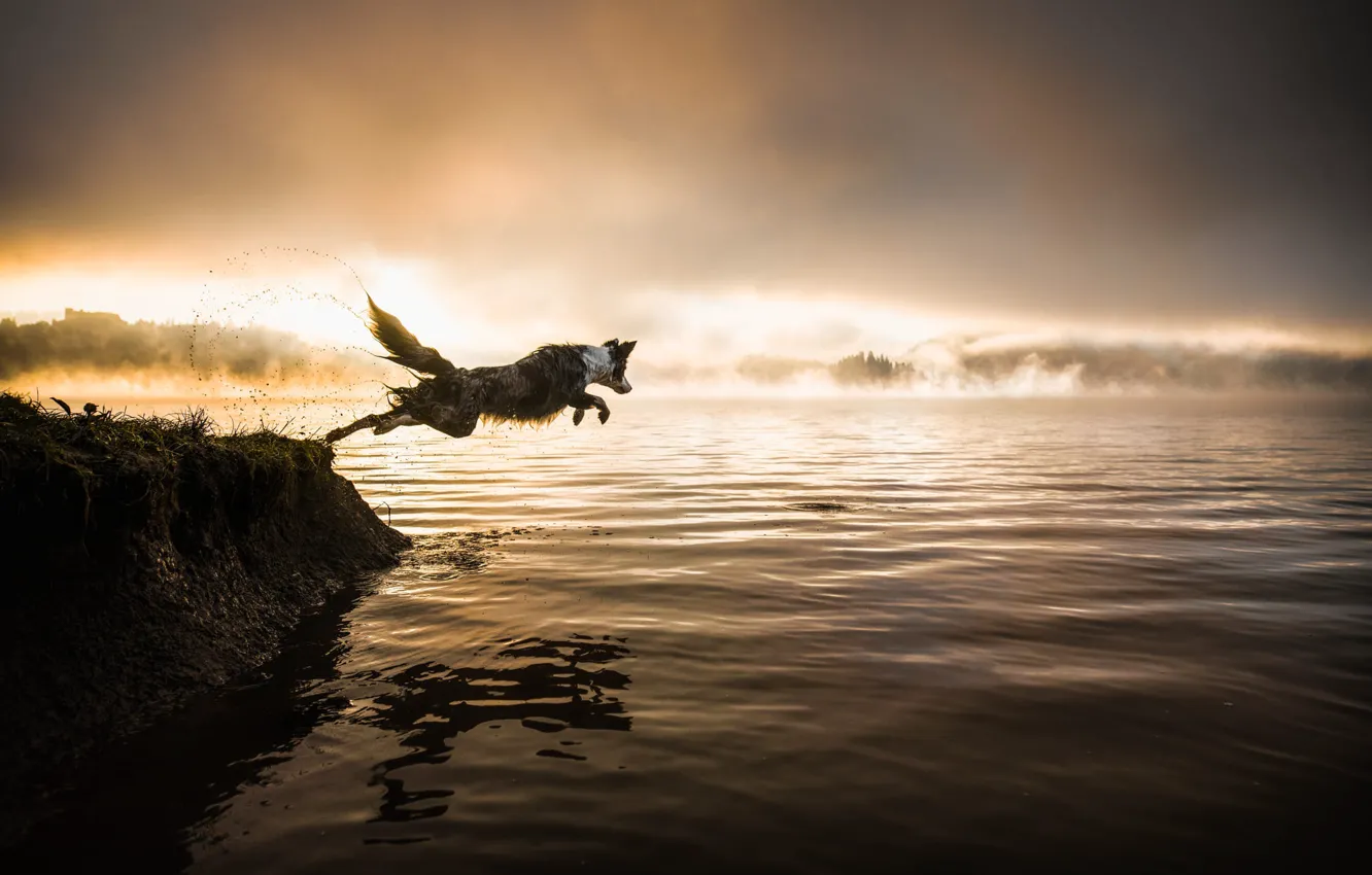 Фото обои лес, небо, вода, закат, брызги, природа, поза, туман