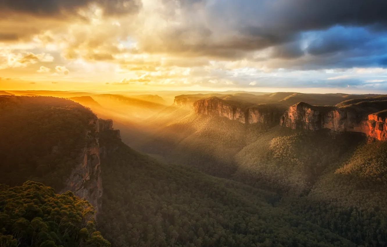 Фото обои закат, горы, Австралия, каньон, Blue Mountains National Park, Национальный парк Блу Маунтинс