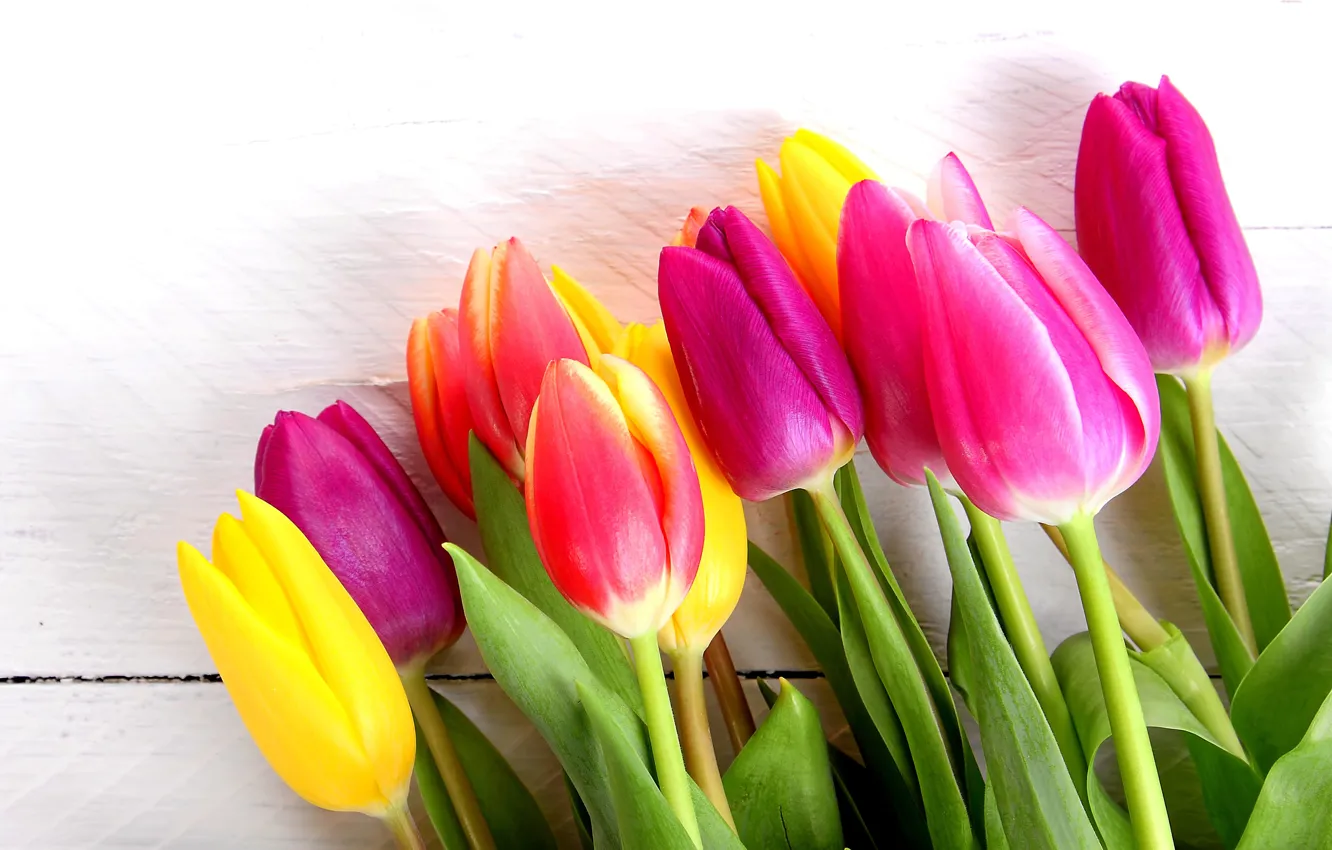 Фото обои цветы, букет, colorful, тюльпаны, wood, romantic, tulips, spring