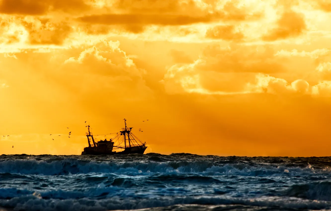 Фото обои море, закат, корабль, флот, судно, красивый, фон., рыбацкое