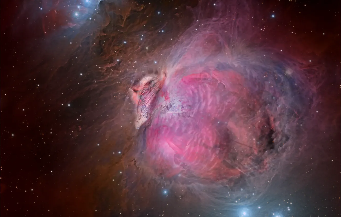 Фото обои звезды, туманность, nebula, stars, Большая Индейка, Eric Coles, Great Turkey