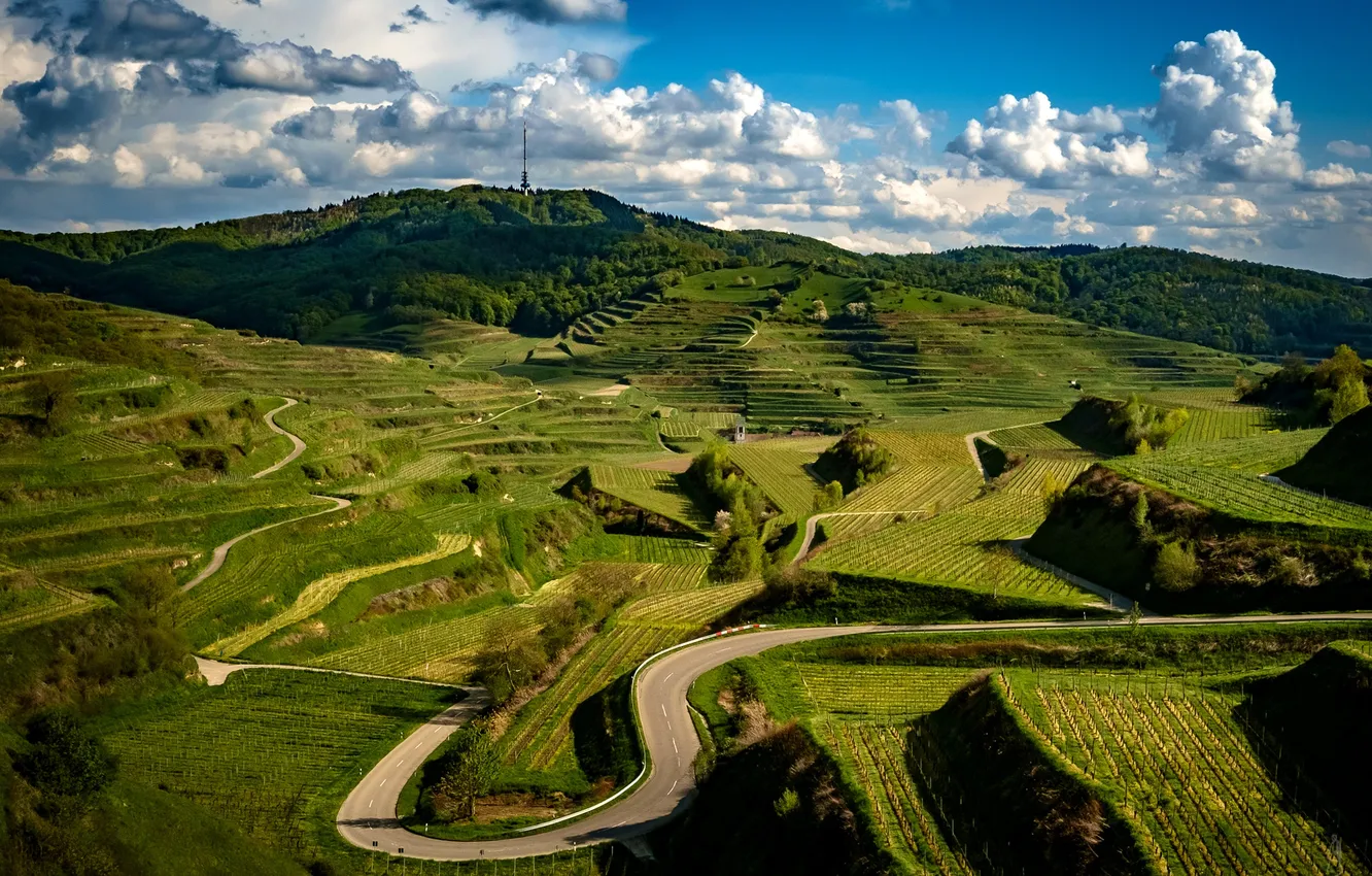 Фото обои дорога, зелень, облака, холмы, поля, Германия, плантации, Kaiserstuhl Hills