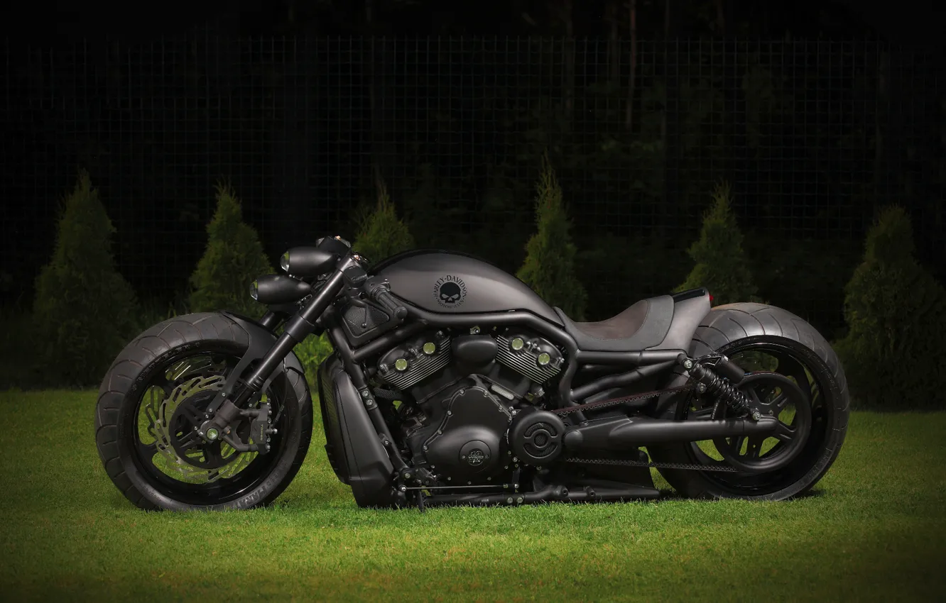 Фото обои Amazing, Black, Harley-Davidson, Motorbike