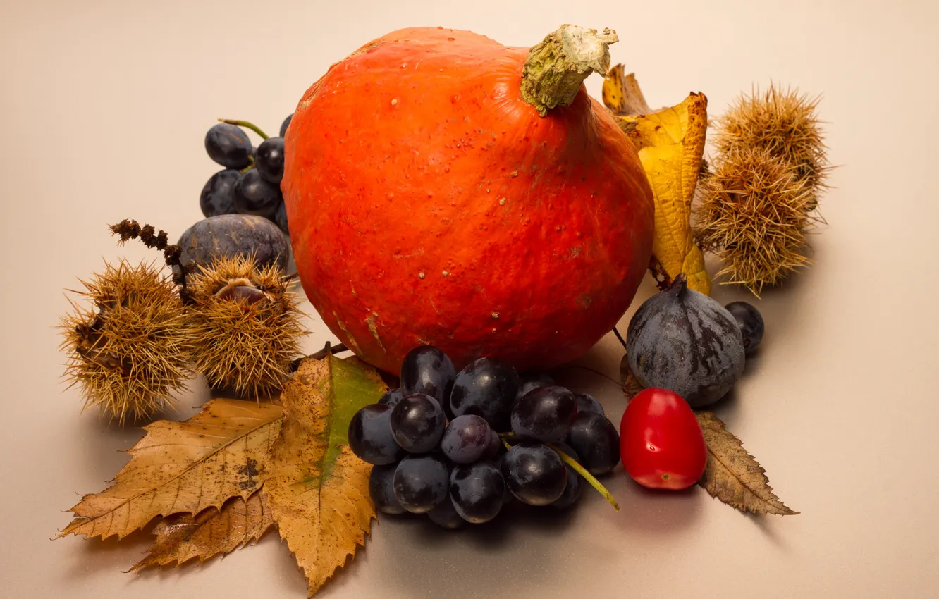 Фото обои осень, листья, ягоды, плоды, тыква, натюрморт