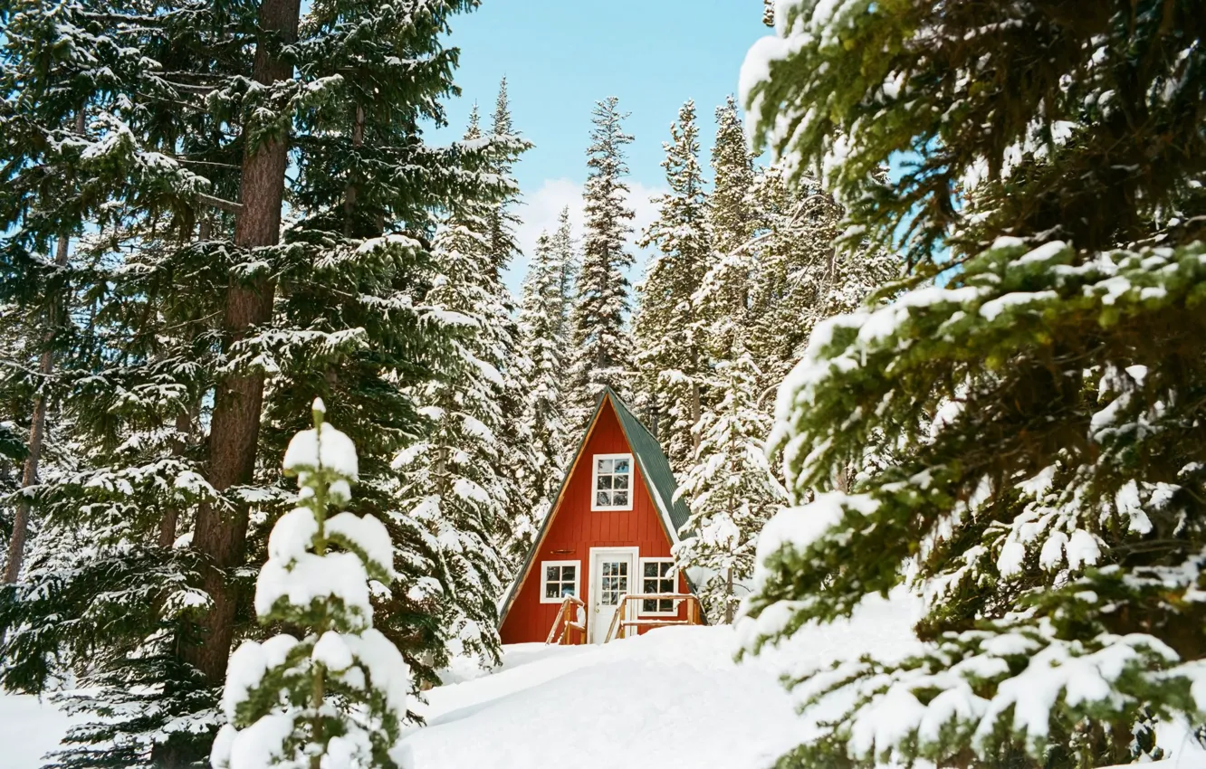 Фото обои Природа, Домик, House, Nature, Зимний Лес, Winter Forest, Snow Trees, Снежные Деревья