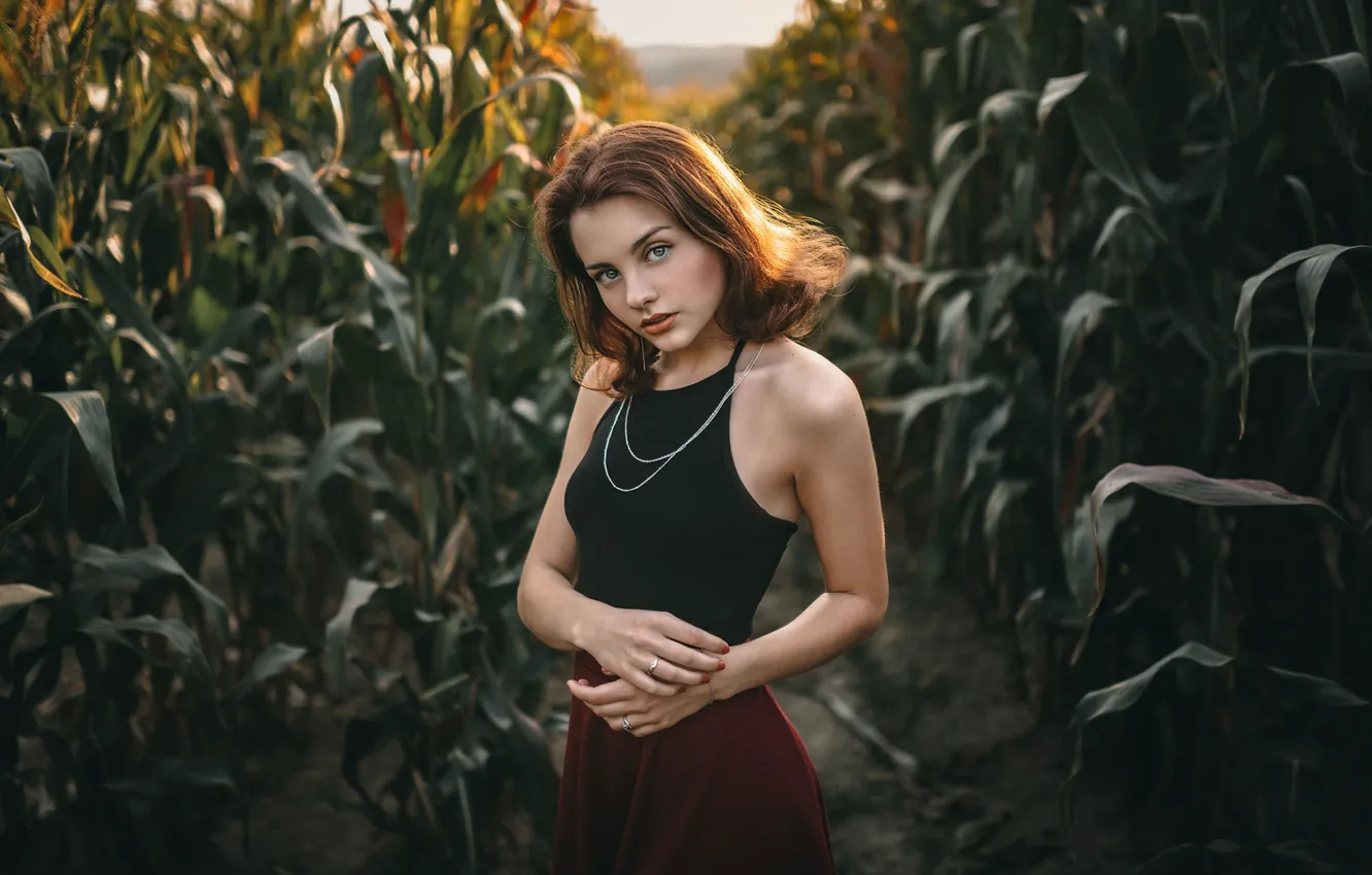 Фото обои поле, взгляд, девушка, поза, кукуруза, руки, Jiří Tulach