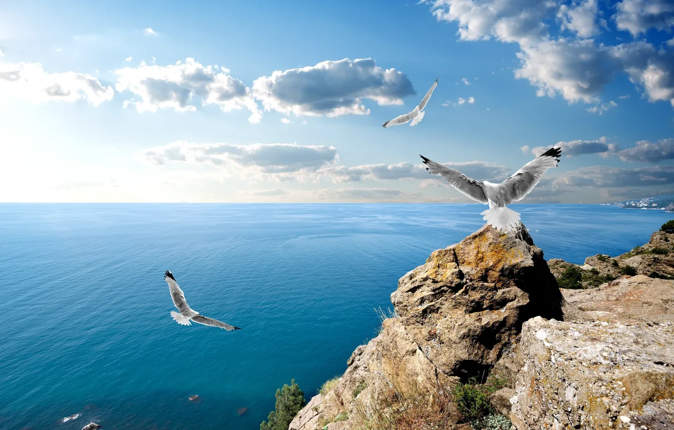 Фото обои облака, скалы, чайки, Крым, Чёрное море