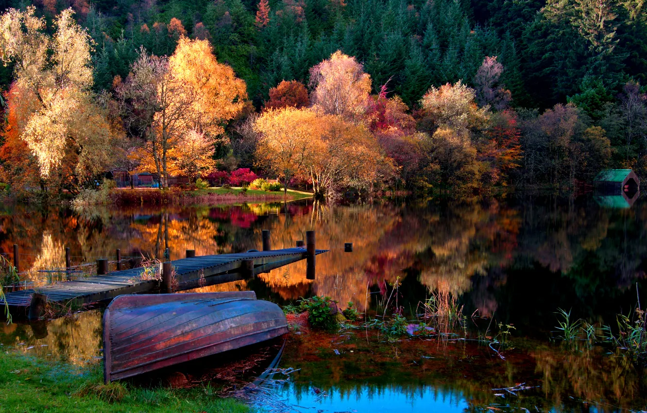Фото обои осень, лес, трава, листья, пейзаж, природа, озеро, лодка