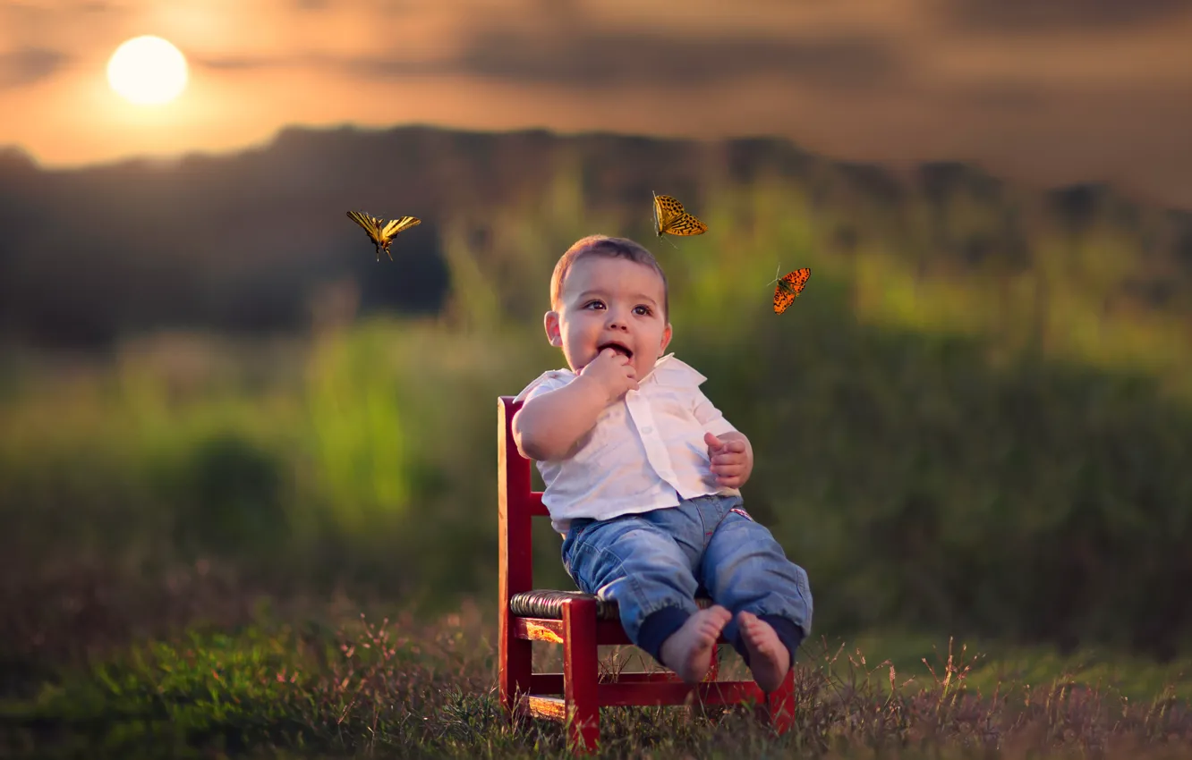 Фото обои бабочки, закат, мальчик