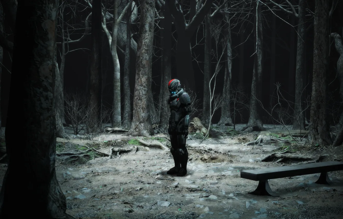 Фото обои лес, деревья, экипировка, скамья, Now youre alone Commander